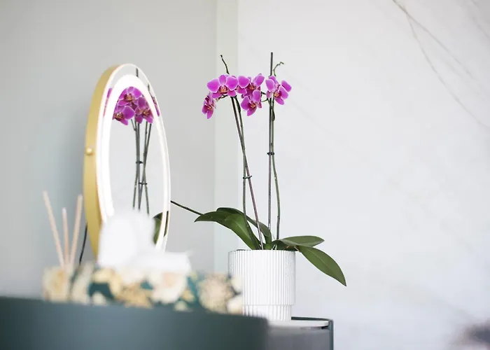 Horizont Альшоэрш